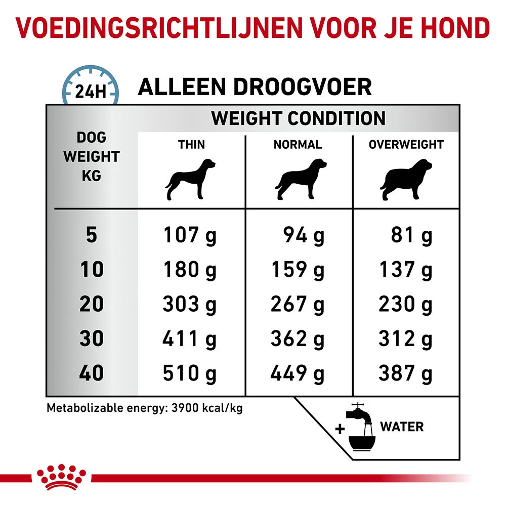 Royal Canin Skin Care Hond - Afbeelding 7