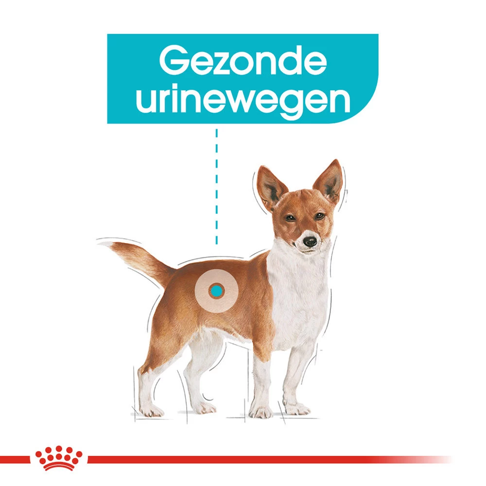 Royal Canin Urinary Care Wet - Hondenvoer - Afbeelding 4