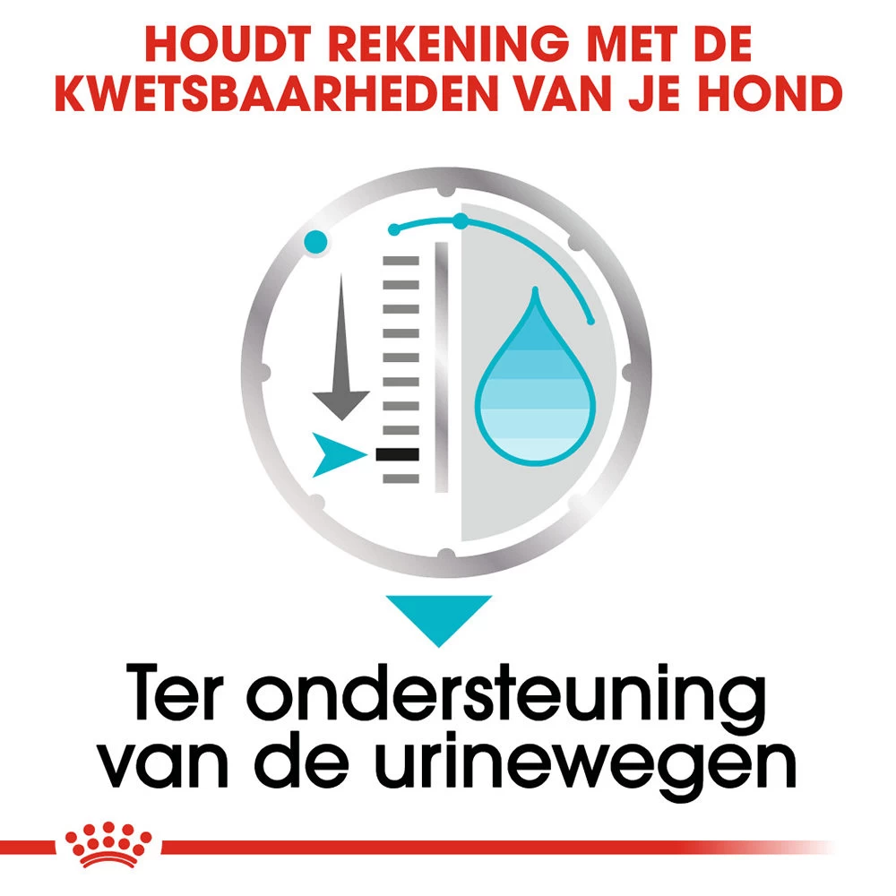 Royal Canin Urinary Care Wet - Hondenvoer - Afbeelding 5