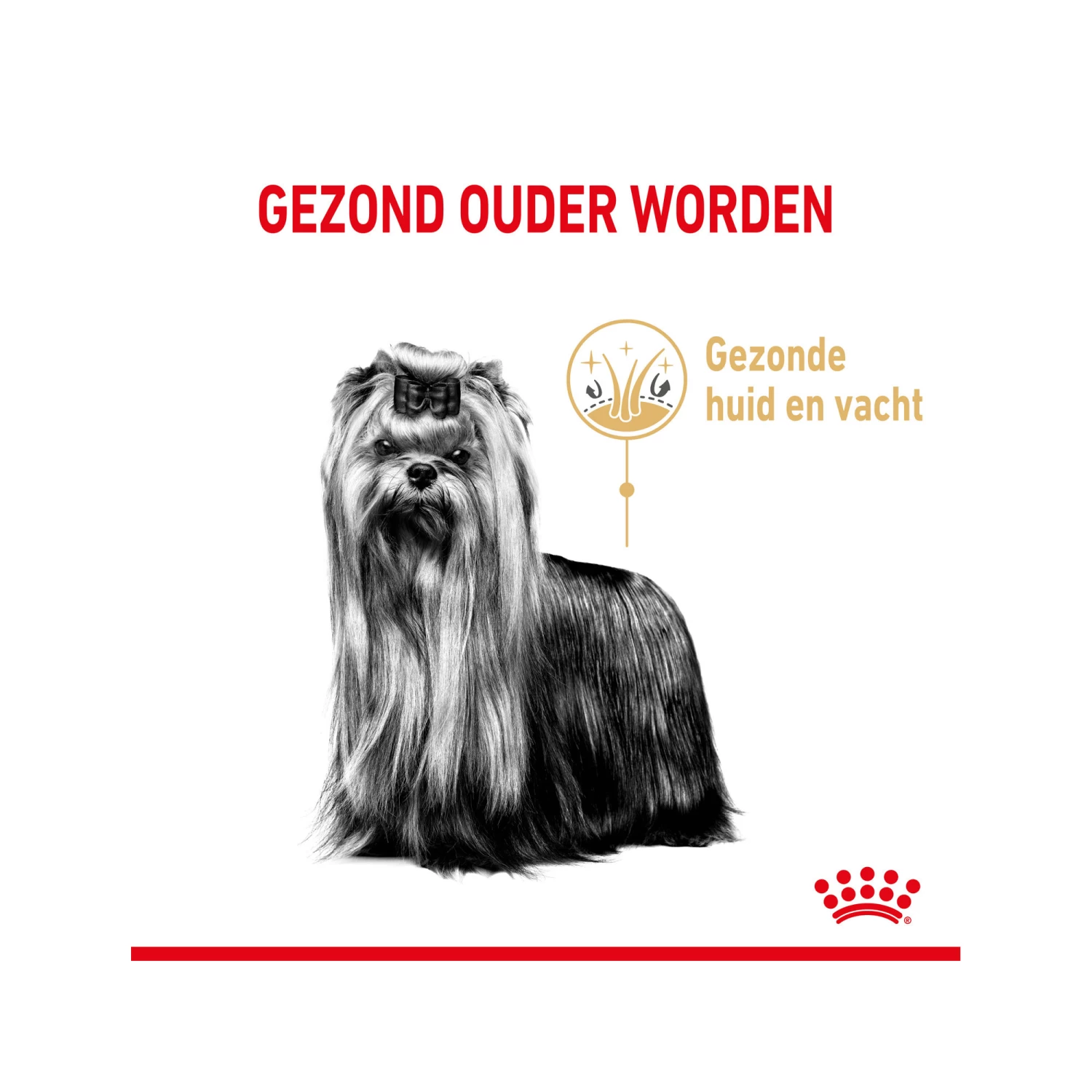 Royal Canin Yorkshire Terriër Adult 8+ - Afbeelding 5
