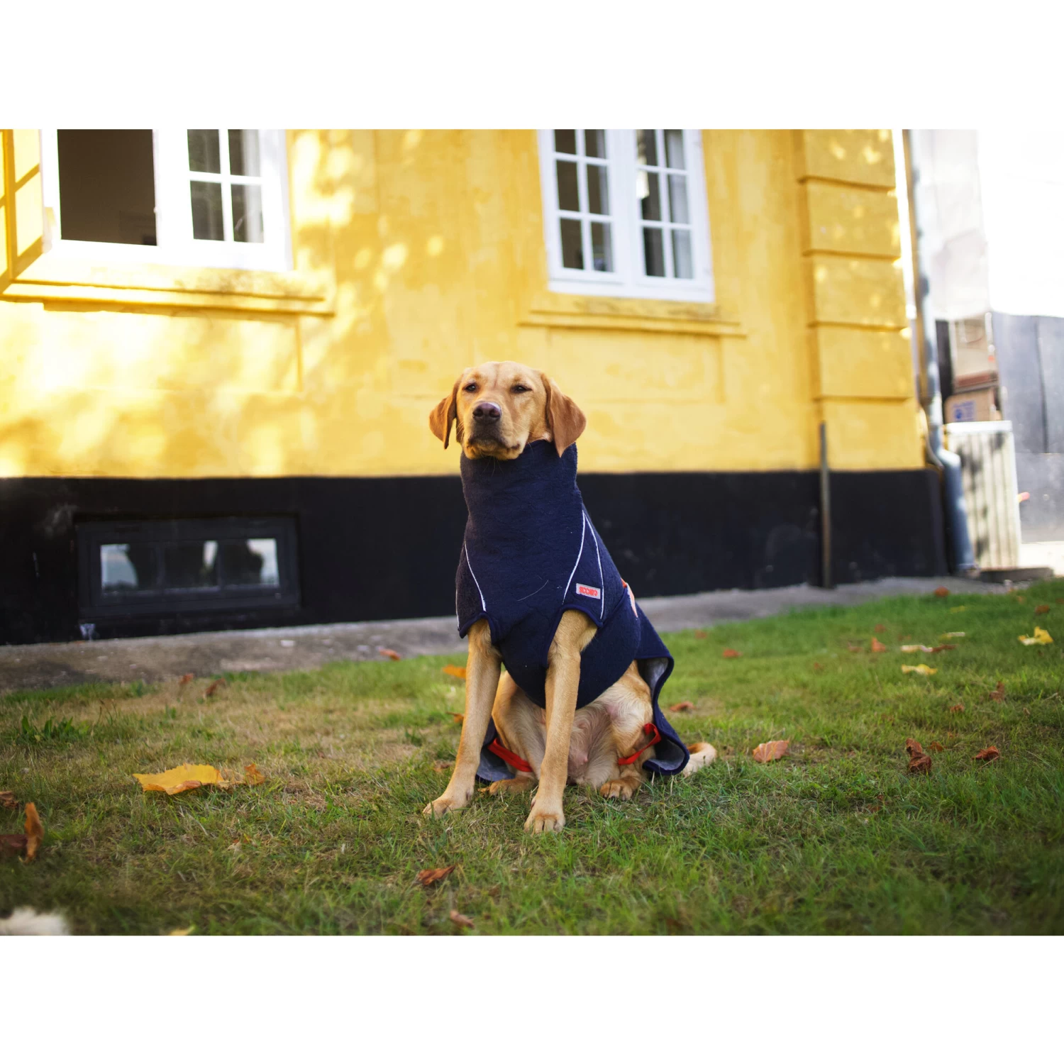 Siccaro WetDog SupremePro 2.0 - Afbeelding 14