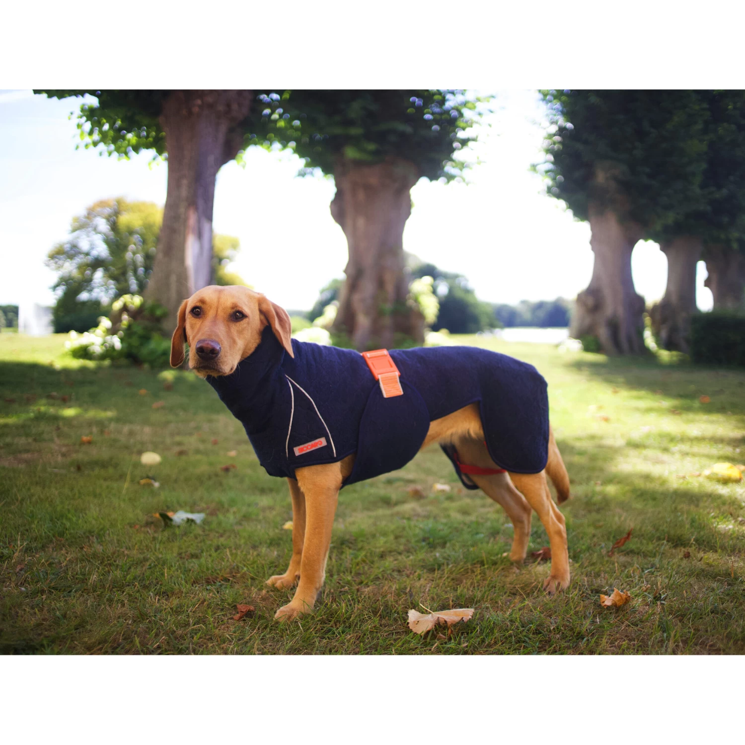 Siccaro WetDog SupremePro 2.0 - Afbeelding 10