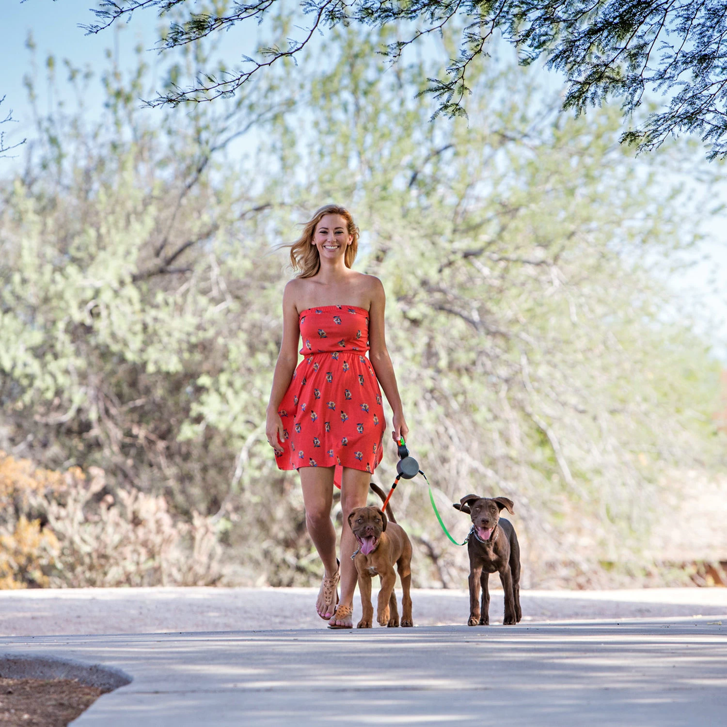 Wigzi Dual Doggie 2.0 - Afbeelding 5