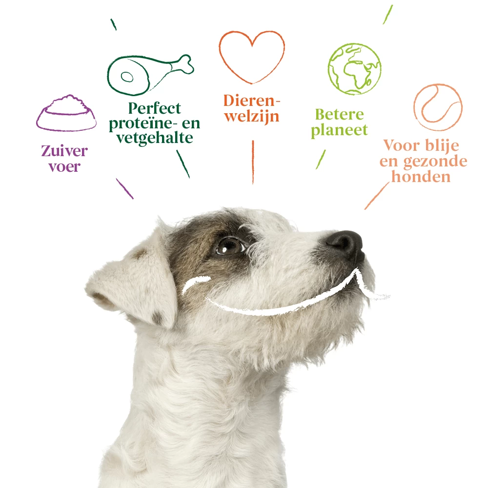 Yarrah - Natvoer Hond Kuipje Paté Met Rund En Kip Bio - Afbeelding 4