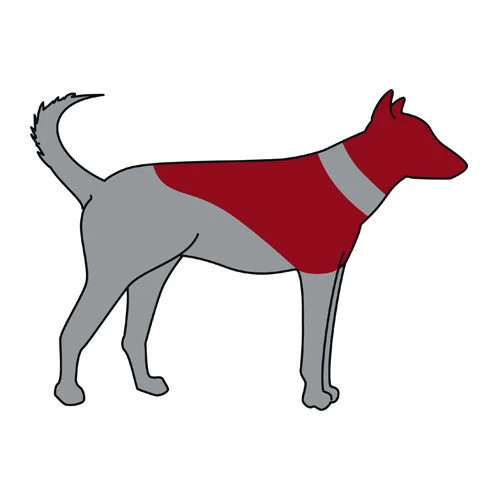 ZenPet Pro Collar - Afbeelding 9